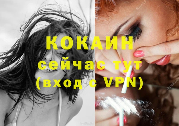 соль ск Лагань