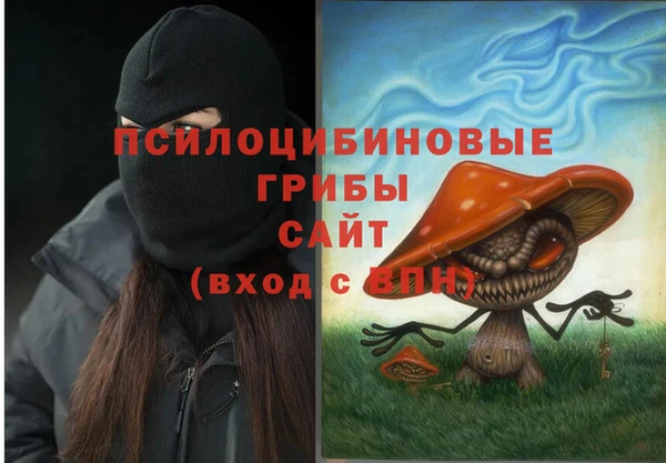 таблы Елабуга