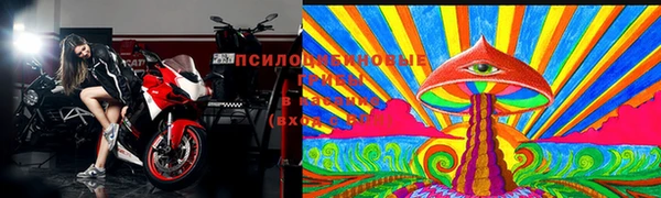 соль ск Лагань